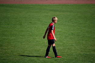 MILAN体育APP下载入口官网-NBA球员高原训练对平原比赛状态的影响，平原运动员进行高原训练原因