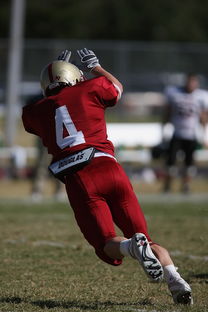 AC Milan-德甲球队休赛期集训方式对开局表现影响，德甲青训规则